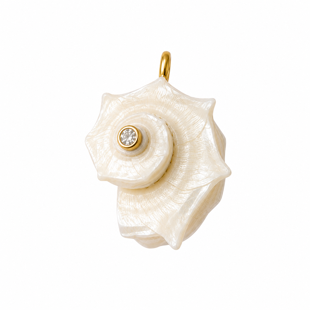 Coastal shell collection
