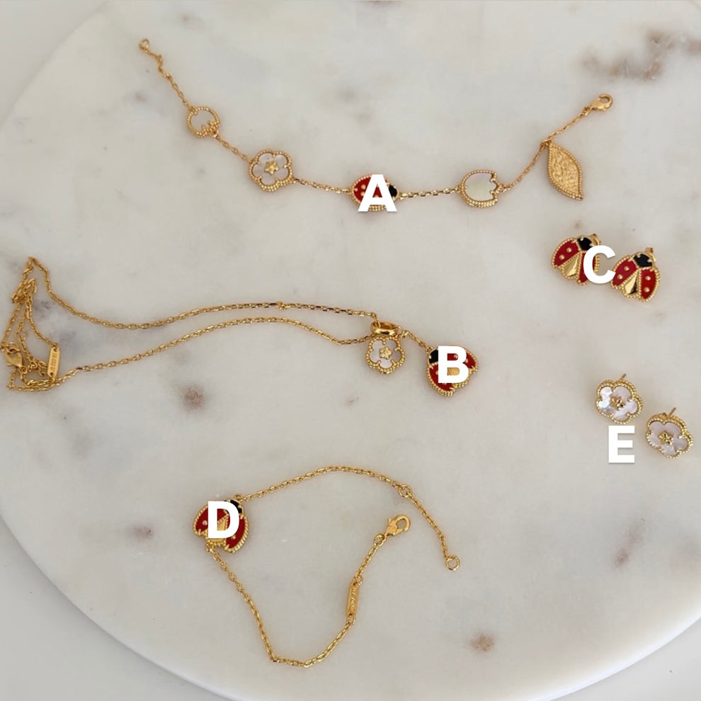 Ladybug set