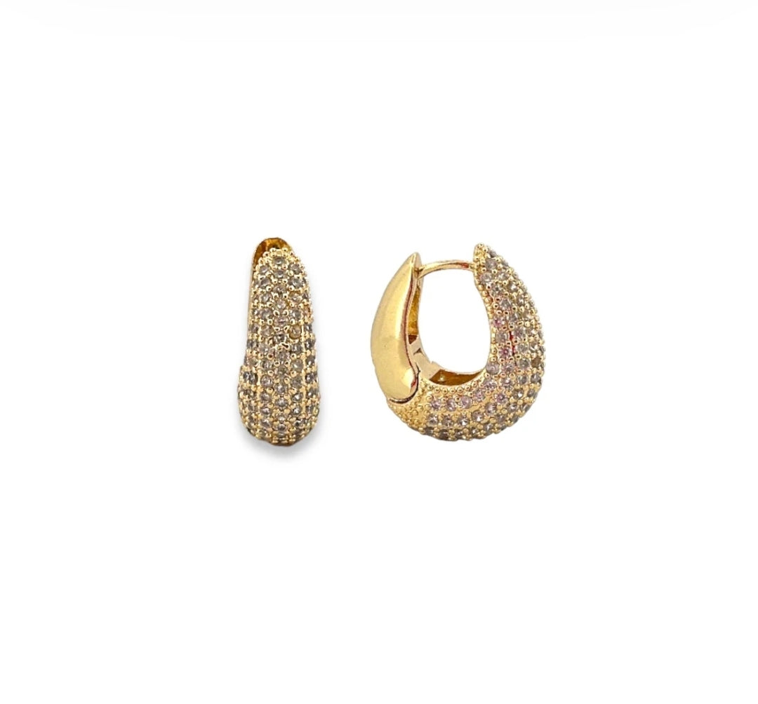 Regal Crystal earrings